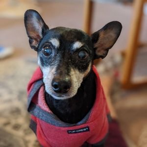 Meet your Posher Rico